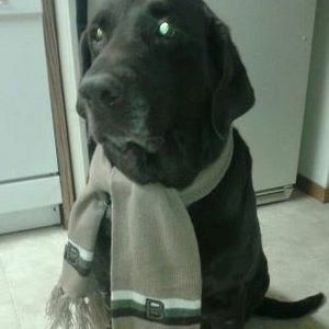 Meet your Posher, John david